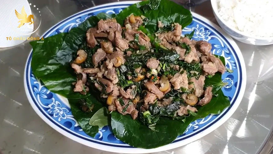 Top 1: Dơi xào lăn