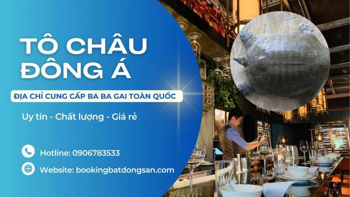 5 Món Ba Ba Gai Ngon Miệng Dễ Làm - Tô Châu Đông Á Group 