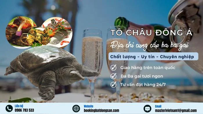 Gặp Ba Ba Gai Khủng, Đại Gia Mạnh Tay Chi Hơn Trăm Triệu Để Sở Hữu 