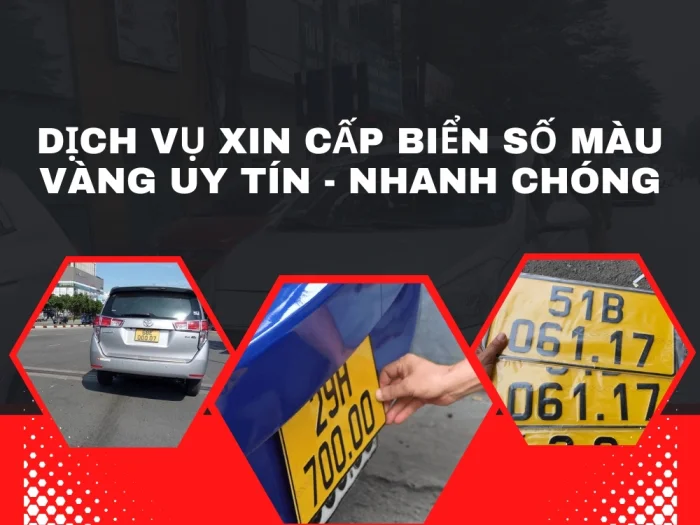 TOP 5 ĐỔI BIỂN VÀNG NHANH CHÓNG TẠI HỒ CHÍ MINH 