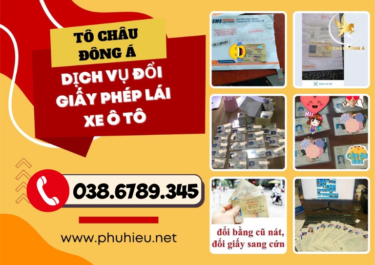 Dễ Dàng Đổi Bằng Lái Xe Ô Tô với Dịch Vụ Chuyên Nghiệp Tại Bình Định