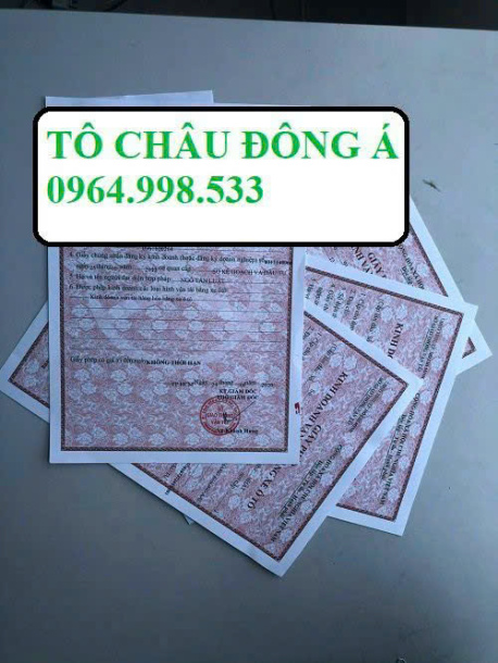 Cấp giấy phép kinh doanh vận tải tại Bình Thuận uy tín giá tốt