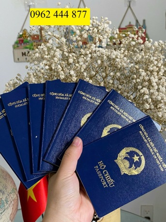 Cấp mới pasport ở Bến Tre