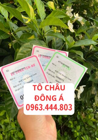 Cấp phù hiệu xe hợp đồng đơn giản tại Lào Cai cho xe ô tô