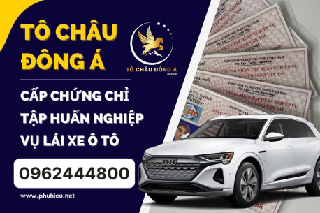 Cấp thẻ tập huấn nghiệp vụ lái xe uy tín số 1 tại Bình Định