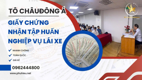 Dịch vụ Cấp Thẻ Tập Huấn Nghiệp Vụ Lái Xe Uy Tín Hàng Đầu Tại An Giang