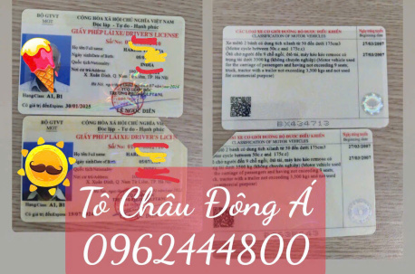 Dịch vụ đổi bằng lái xe cho người nước ngoài giá rẻ, trọn gói tại Quảng Ninh