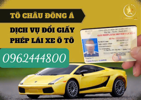 Dịch vụ đổi bằng lái xe ô tô hết hạn uy tín tại Phú Thọ
