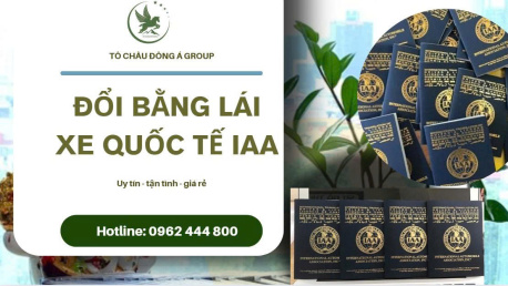 Dịch Vụ Đổi Bằng Lái Xe Quốc Tế IAA Uy Tín Tại Bắc Ninh