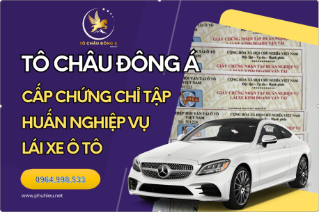 Dịch vụ giấy chứng nhận tập huấn nghiệp vụ lái xe kinh doanh vận tải tại Hồ Chí Minh