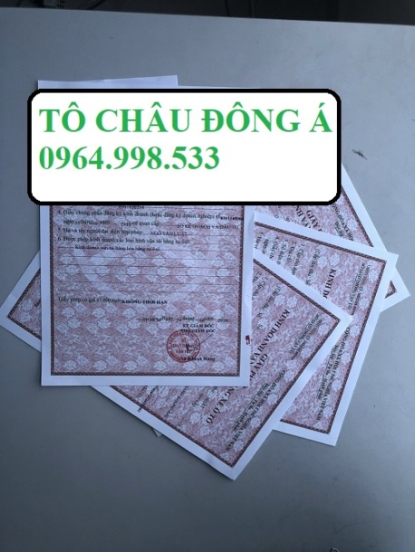 Dịch vụ làm giấy phép kinh doanh vận tải tại Bình Dương