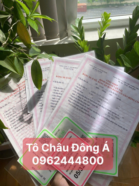 Dịch Vụ Xin Giấy Phép Kinh Doanh Vận Tải Trọn Gói Tại Vĩnh Long