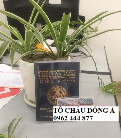 Đổi bằng lái quốc tế ở Phú Thọ