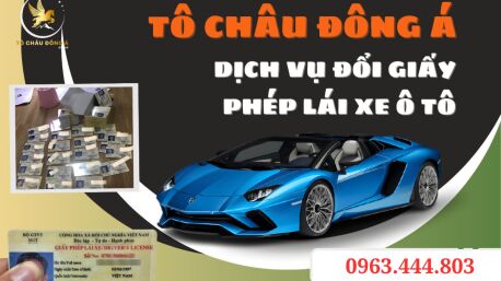 Đổi bằng lái xe ô tô hết hạn tại An Giang online đơn giản