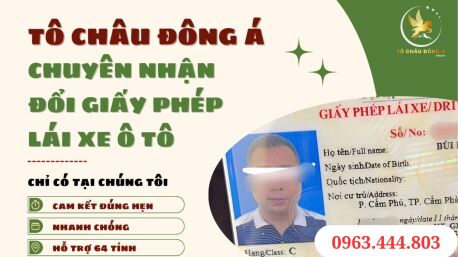 Đổi, gia hạn bằng lái xe ô tô online đơn giản tại Thanh Hóa 