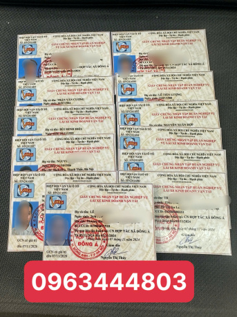 Đồng Nai nhận làm chứng chỉ tập huấn lái xe nhanh 
