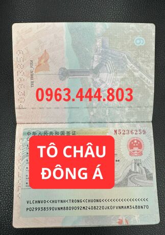 Đồng Tháp cấp visa du lịch Trung Quốc online hoàn toàn