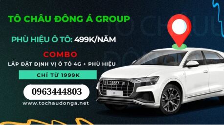 Gắn định vị ngay trong ngày cho xe kinh doanh vận tải biển vàng tại Hồ Chí Minh