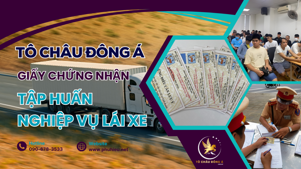 Cấp chứng chỉ tập huấn giá rẻ tại Bình Định