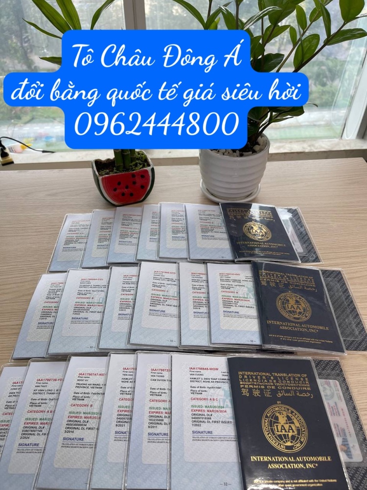 Địa điểm đổi giấy phép lái xe quốc tế IAA giá sốc tại Sài Gòn