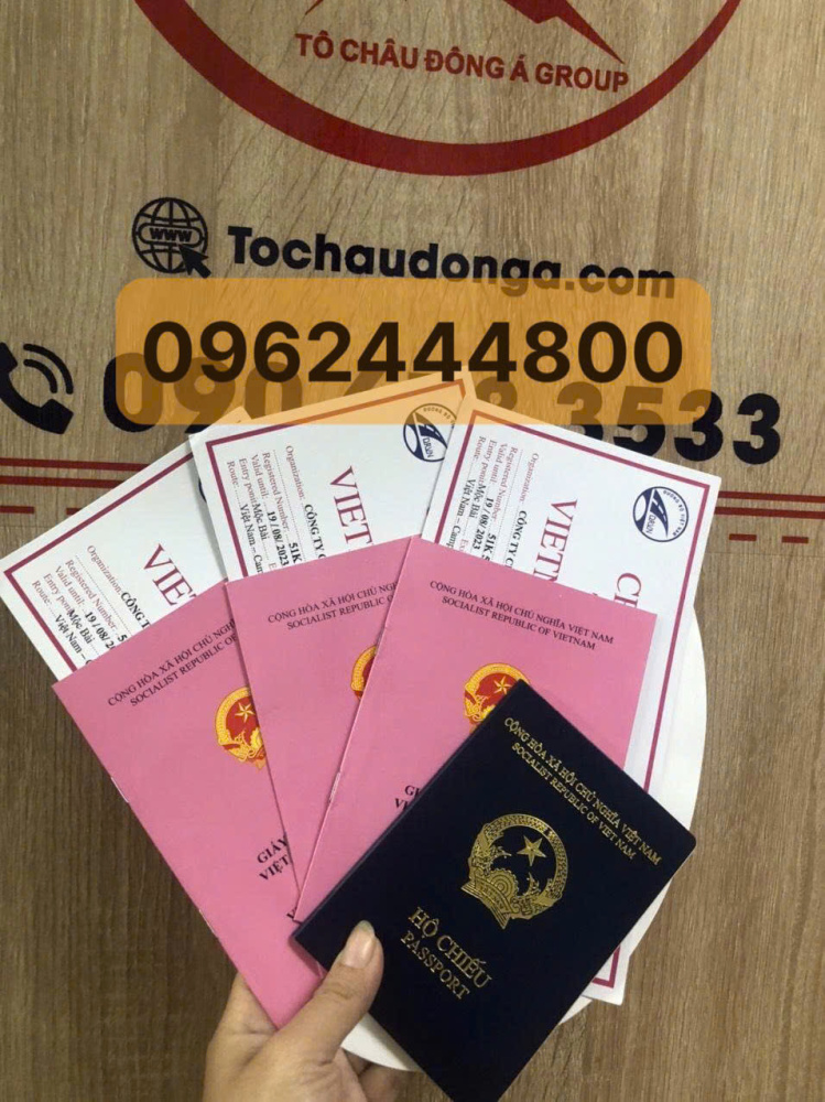 Dịch vụ làm giấy phép liên vận Việt Lào cho xe ở Tuyên Quang nhanh chóng, tiết tiệm