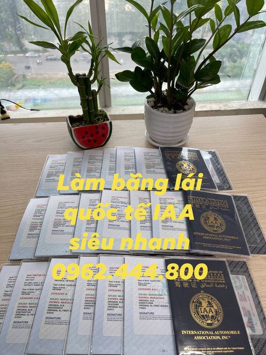 Đổi bằng lái IAA quốc tế giá siêu hời tại Bình Dương