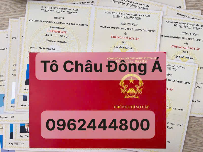 Mở lớp sơ cấp điều hành vận tải tại Hà Nội