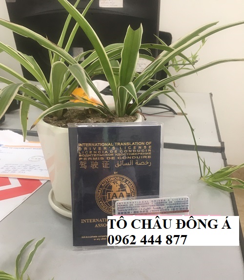 Đổi bằng lái quốc tế IAA ngay tại Thái Nguyên