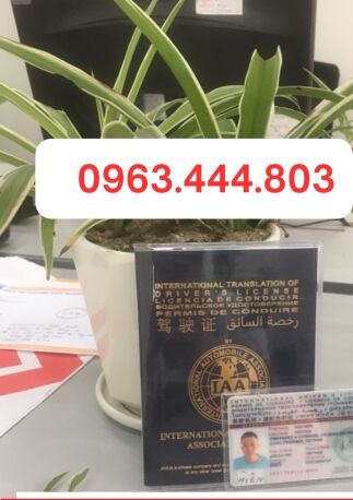 IAA bằng lái quốc tế làm tại Nghệ An 2xxx