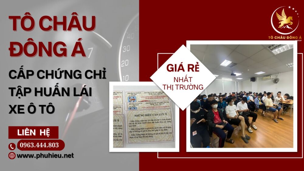 Cấp Chứng chỉ tập huấn nghiệp vụ lái xe tại Lạng Sơn