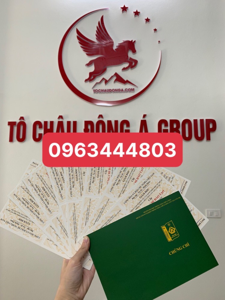 Cấp giấy phép liên vận Việt Nam CampuChia tại Hà Nội nhanh chóng uy tín bảo đảm.