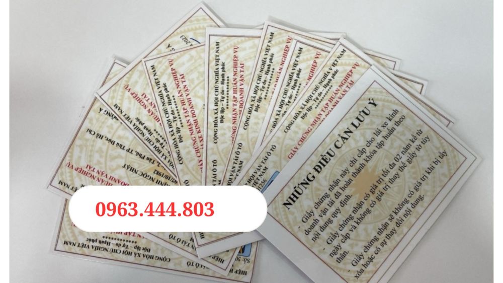 Chứng chỉ tập huấn tài xế online giá rẻ uy tín tại Bình Thuận.