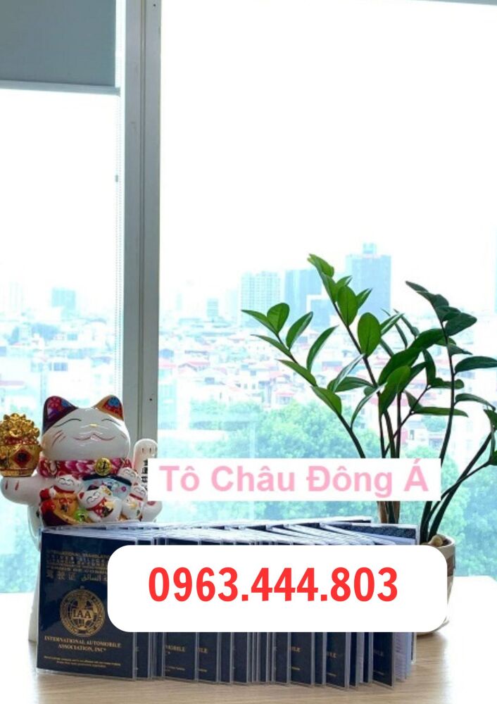 Địa điểm cấp Giấy phép lái xe quốc tế IAA chuẩn tại Lạng Sơn