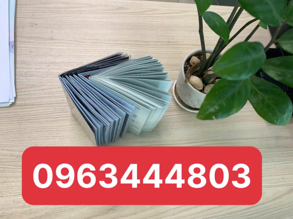 Dịch vụ làm bằng lái quốc tế IAA ở Vĩnh Phúc