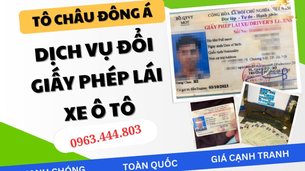 Đổi bằng lái xe ô tô online nhanh chóng chỉ 4xx tại Tiền Giang