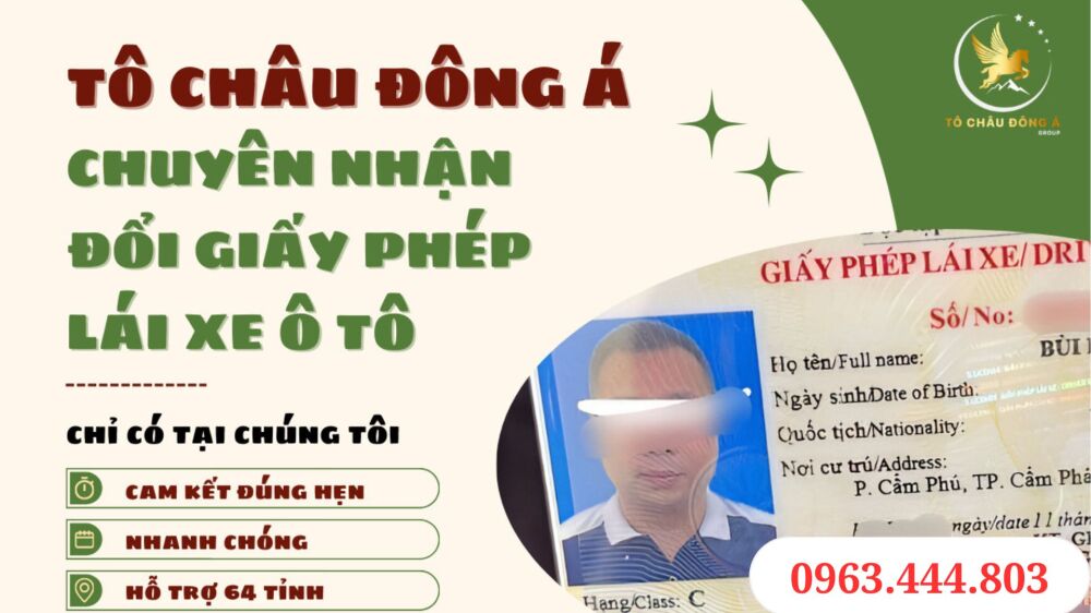 Gia hạn giấy phép lái xe ô tô ở Thị Trấn Đông Anh Hà Nội