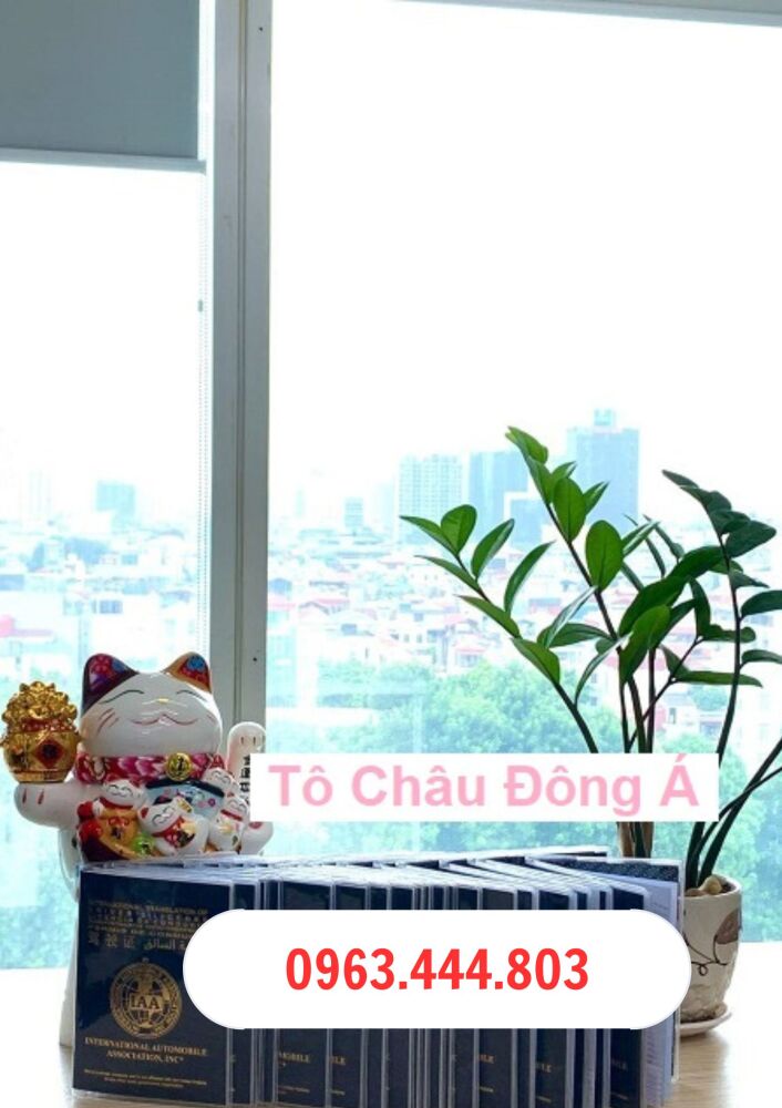 IAA bằng lái quốc tế làm tại Nghệ An 2xxx