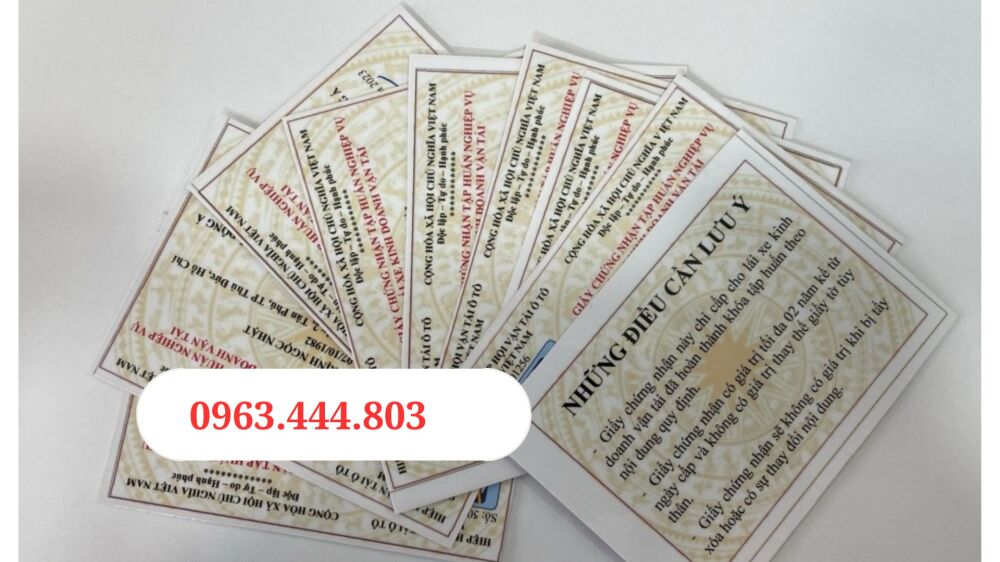 Làm chứng chỉ tập huấn nghiệp vụ tài xế giá rẻ ở Gia Lai