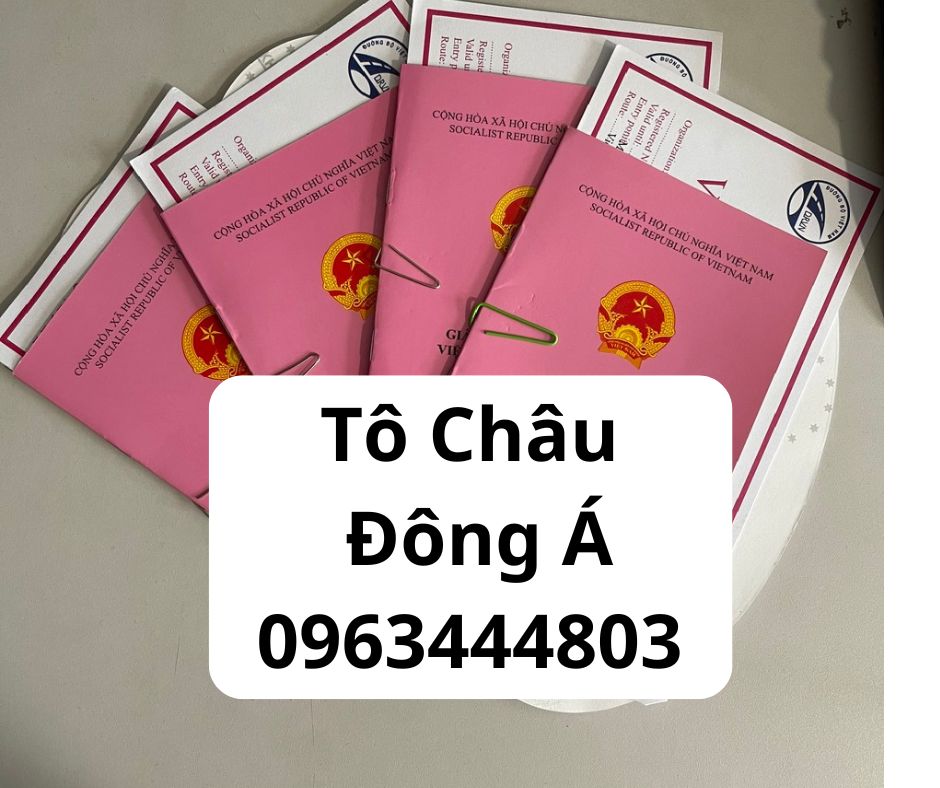 Làm giấy liên vận ở Quảng Bình nhanh chóng giá rẻ