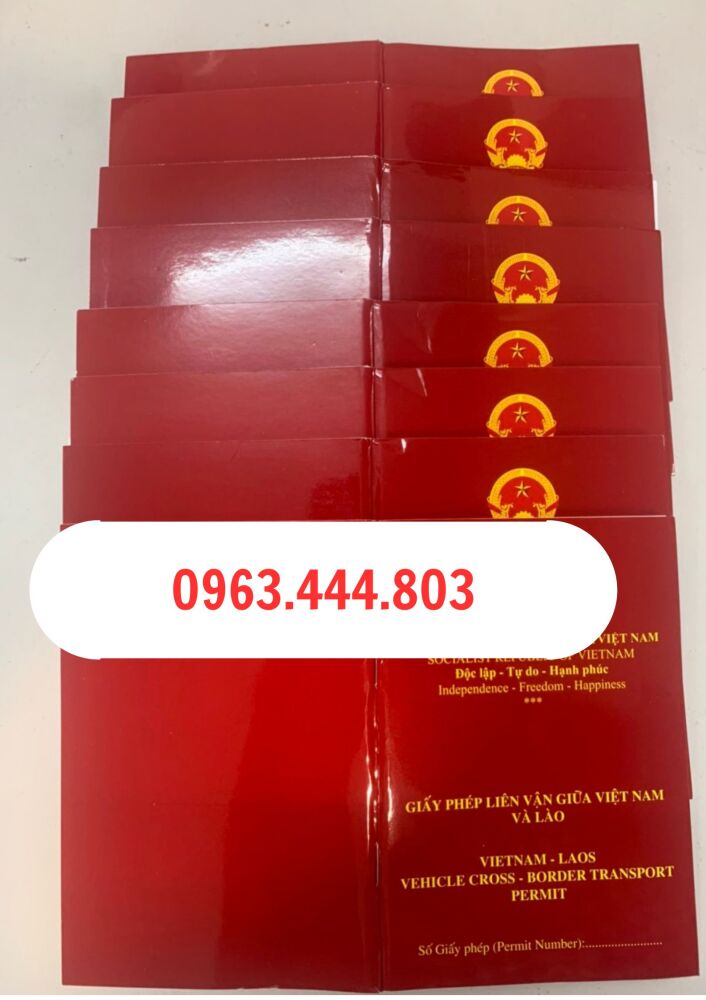 Liên vận 1 năm cho xe ô tô qua Lào chỉ 2,5 triệu tại Bắc Ninh