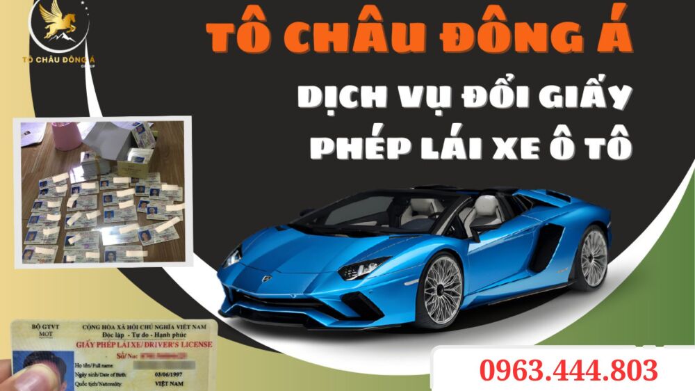 Ở Đắk Lắk nhận dịch vụ làm online đổi bằng lái nhanh uy tín