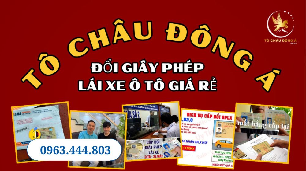 Vĩnh Long Đổi bằng lái xe ô tô online uy tín giá rẻ 