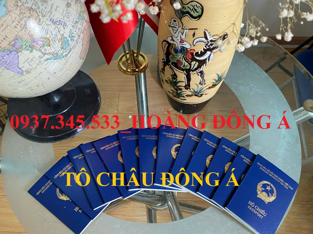 Dịch vụ cấp nhanh, cấp lại hộ chiếu tại Thủ Dầu Một_Hồ Chí Minh