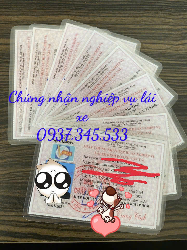 Làm nhanh thẻ tập huấn lái xe tại Bình Dương chỉ 2 ngày