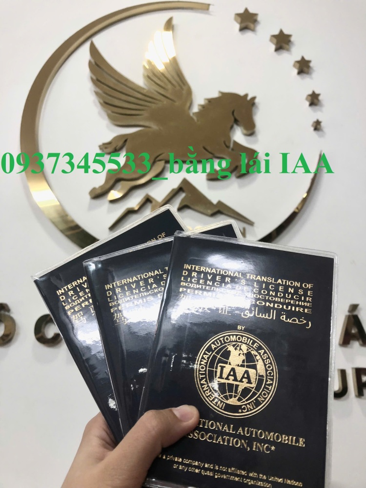 Nhận cấp bằng lái IAA đi 192 nước hạn 10 năm tại Bà Rịa-Vũng Tàu