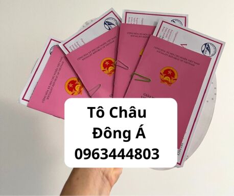 Làm giấy liên vận ở Quảng Bình nhanh chóng giá rẻ