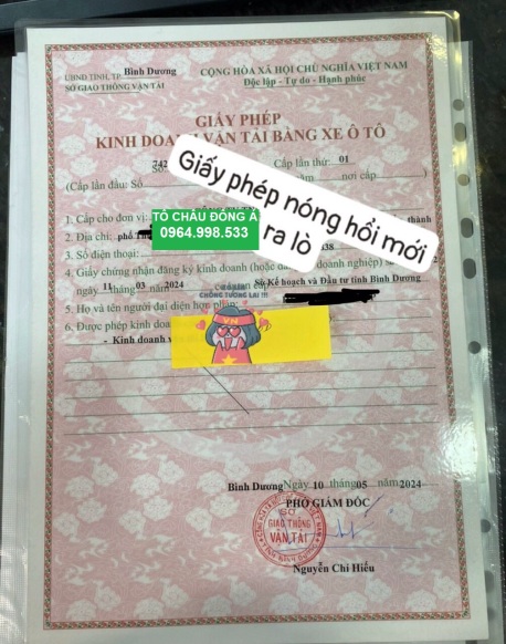 Làm giấy phép kinh doanh vận tải ở Cà Mau phí rẻ, uy tín