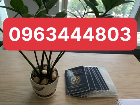 Làm giấy phép lái xe IAA dịch vụ online tại Hải Phòng