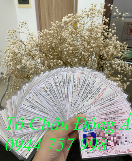Mở lớp đào tạo tập huấn nghiệp vụ lái xe kinh doanh vận tải tại Cẩm Mỹ, Đồng Nai