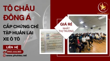 Mua chứng chỉ tài xế chỉ 3xx tại Trà Vinh